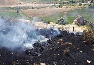 ۲ هکتار از مراتع روستای گاومیشان خلیفان در آتش سوخت