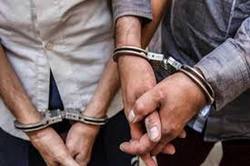 دستگیری سارقان سابقه‌دار در اسدآباد
