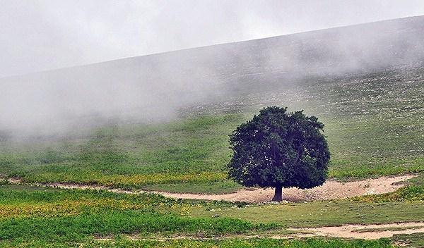 بارش‌های پراکنده با کاهش دمای 12 درجه‌ای در گیلان
