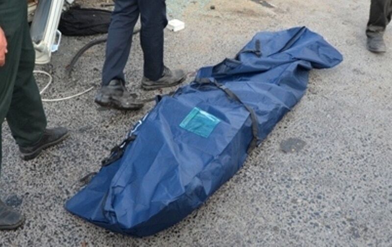 3 نفر در پارک جنگلی مشگین‌شهر جان باختند