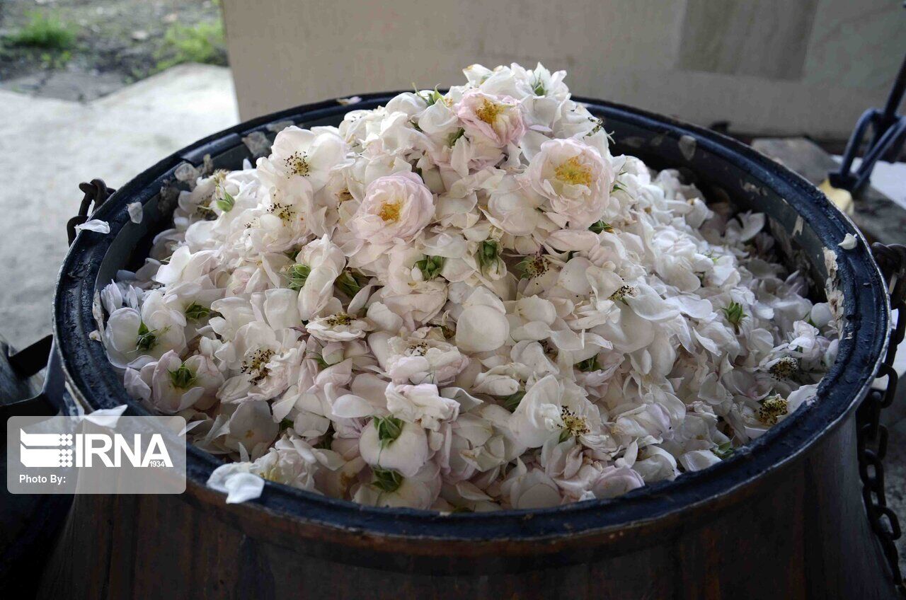 ۳ اثر ناملموس گیلان ثبت ملی شد