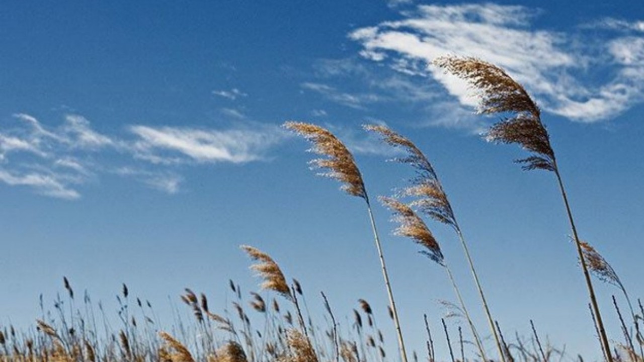 پیش‌بینی وزش باد و کاهش دمای روزانه در لرستان