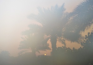 شرجی در خوزستان ماندگار است