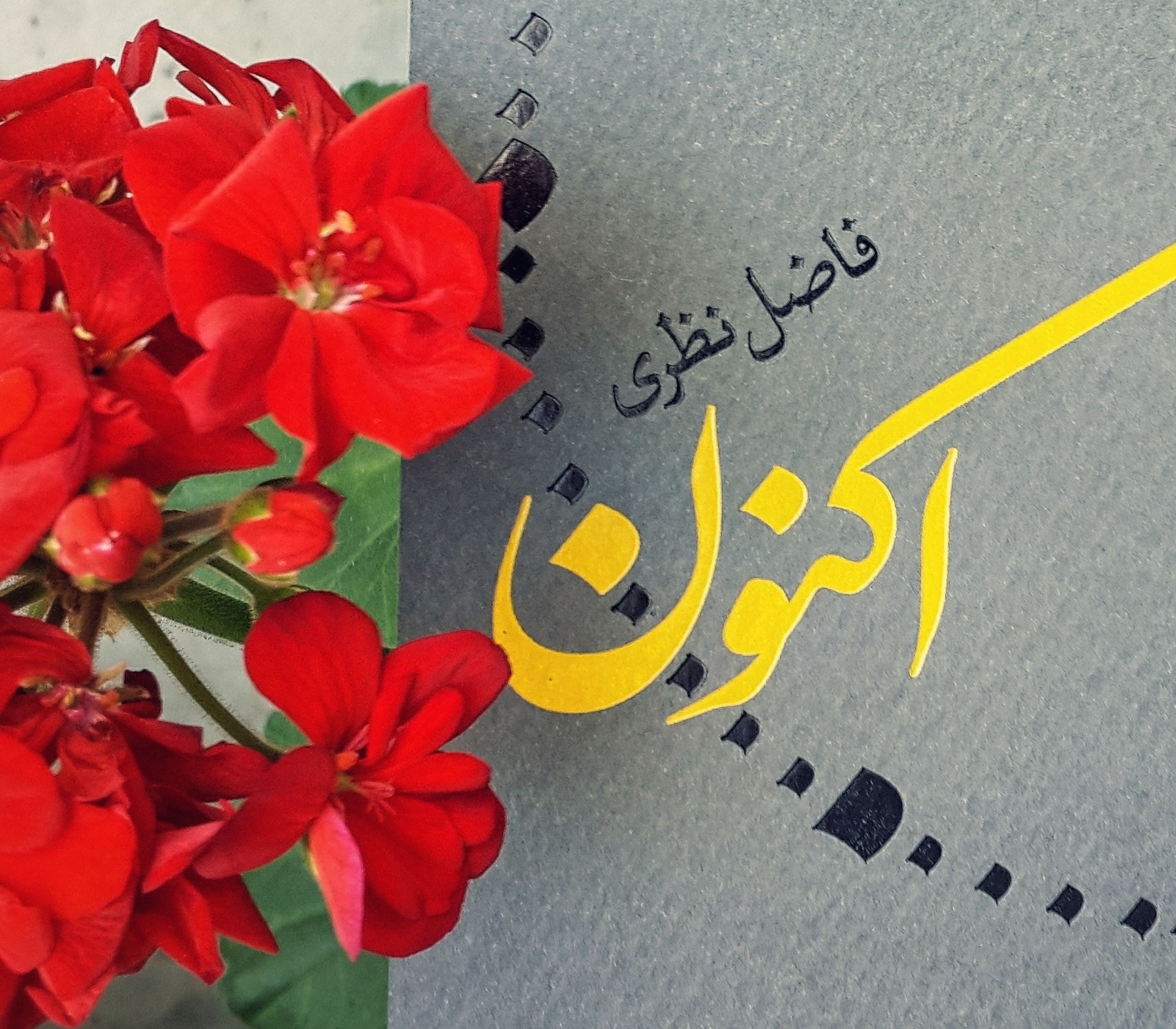 «برای آرزوهای محال خویش می‌گِريَم»؛ فال گرفتن با فاضل نظری!
