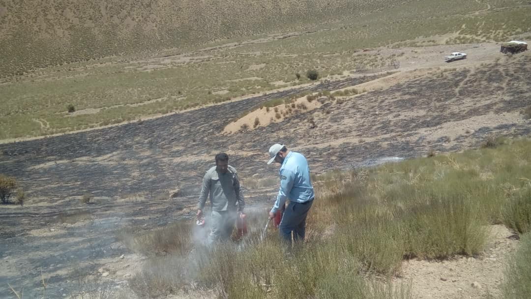 مهار آتش سوزی منطقه حفاظت شده کوه جوپار