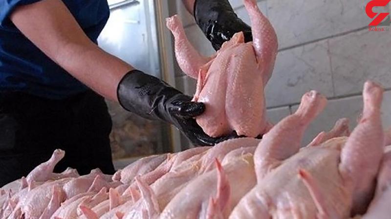 واکنش سازمان دامپزشکی کشور به مرغ‌های تریاکی
