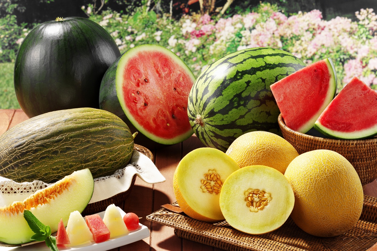 اینفوگرافی؛ تقویت سیستم ایمنی بدن با هندوانه، طالبی و خربزه!