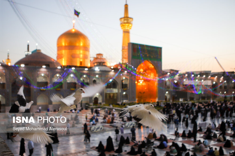حال و هوای حرم مطهر رضوی در آستانه میلاد حضرت رضا(ع)