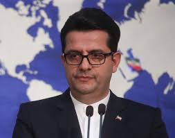 پاسخ محکم موسوی به گستاخی اخیر هوک