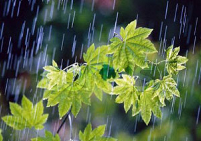 بارش باران و خنکی هوای گیلان از اواخر امروز