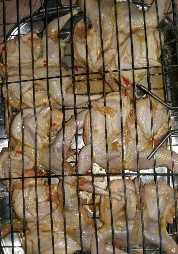 از شما/بلدرچين ها آماده براي کباب شدن😋
