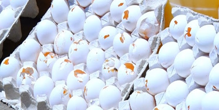 کشف و ضبط ۱۱۰ کیلوگرم تخم مرغ فاسد در دهلران