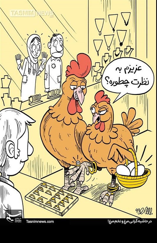 کاریکاتور/ در حاشیه گرانی مرغ و تخم مرغ