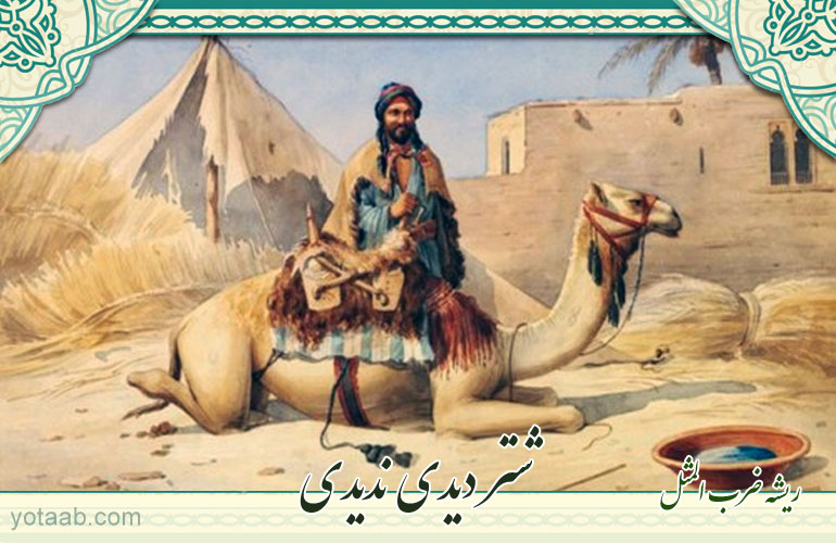 ریشه ضرب المثل/ شتر دیدی ندیدی