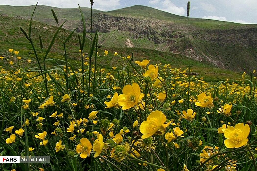  سهند، عروس کوه‌های ایران