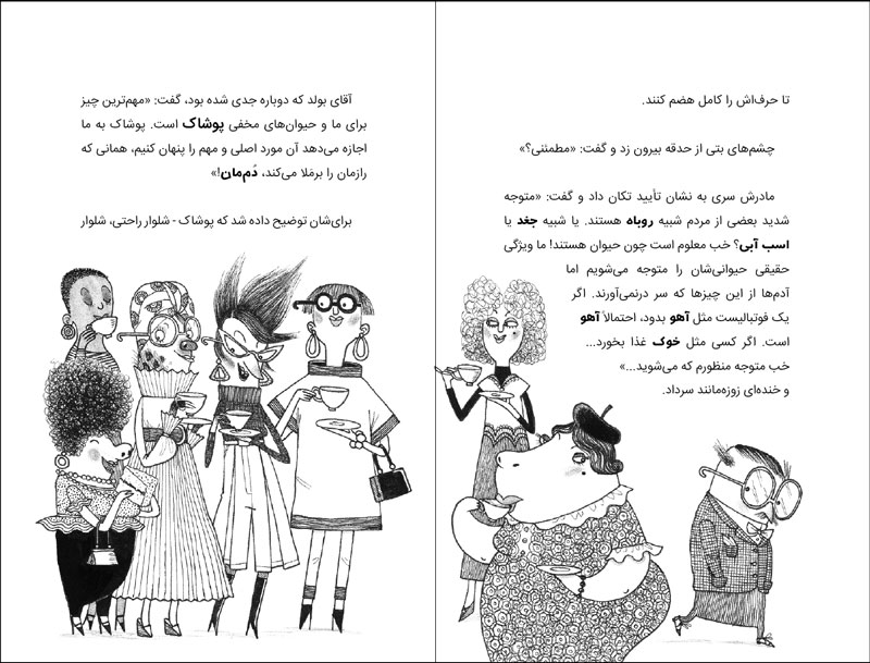 کله خرها؛ داستانی برای بلند خندیدن