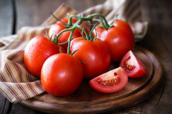 گوجه فرنگی در گلستان به سرنوشت پنبه دچار می‌شود
