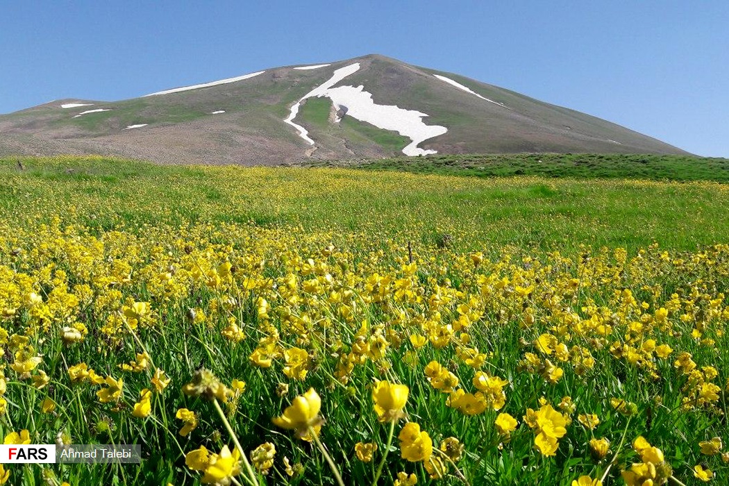  سهند، عروس کوه‌های ایران