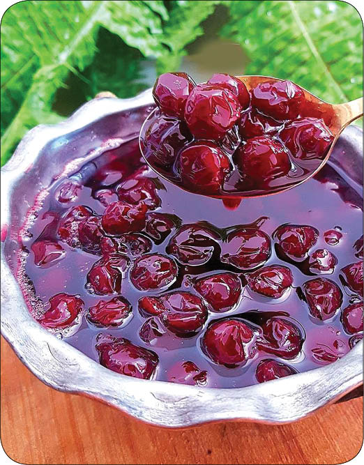 مارمالاد آلبالوي وانيلي، مخصوص روزهاي گرم