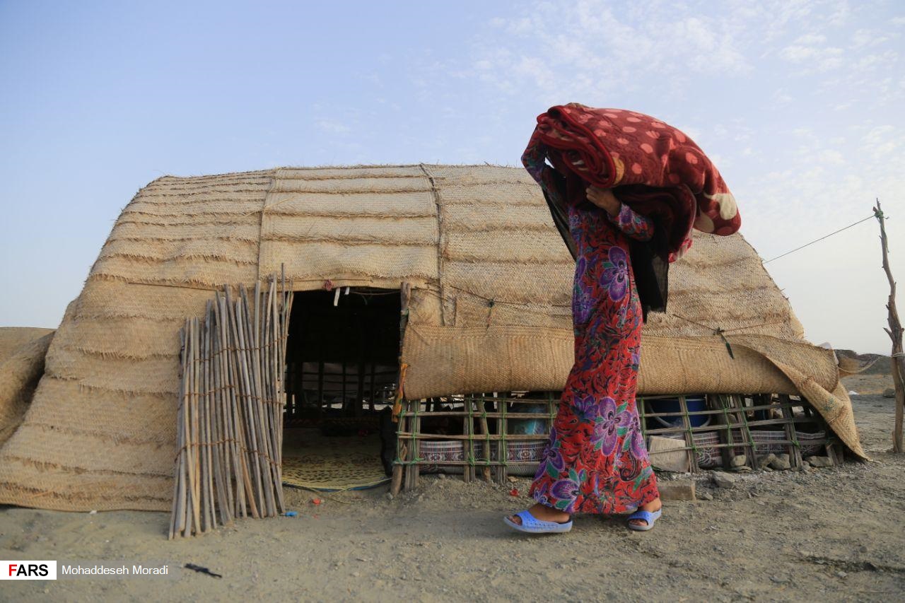 «زاچ و داربست» هم‌‌چنان در چادر