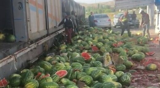 خسارت میلیاردی به صادرکنندگان میوه آذربایجان‌غربی 