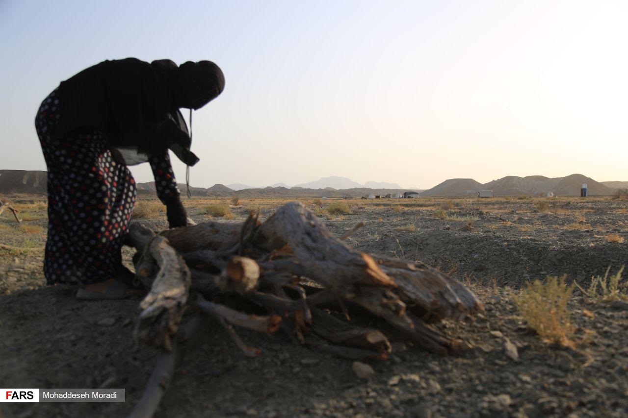 «زاچ و داربست» هم‌‌چنان در چادر