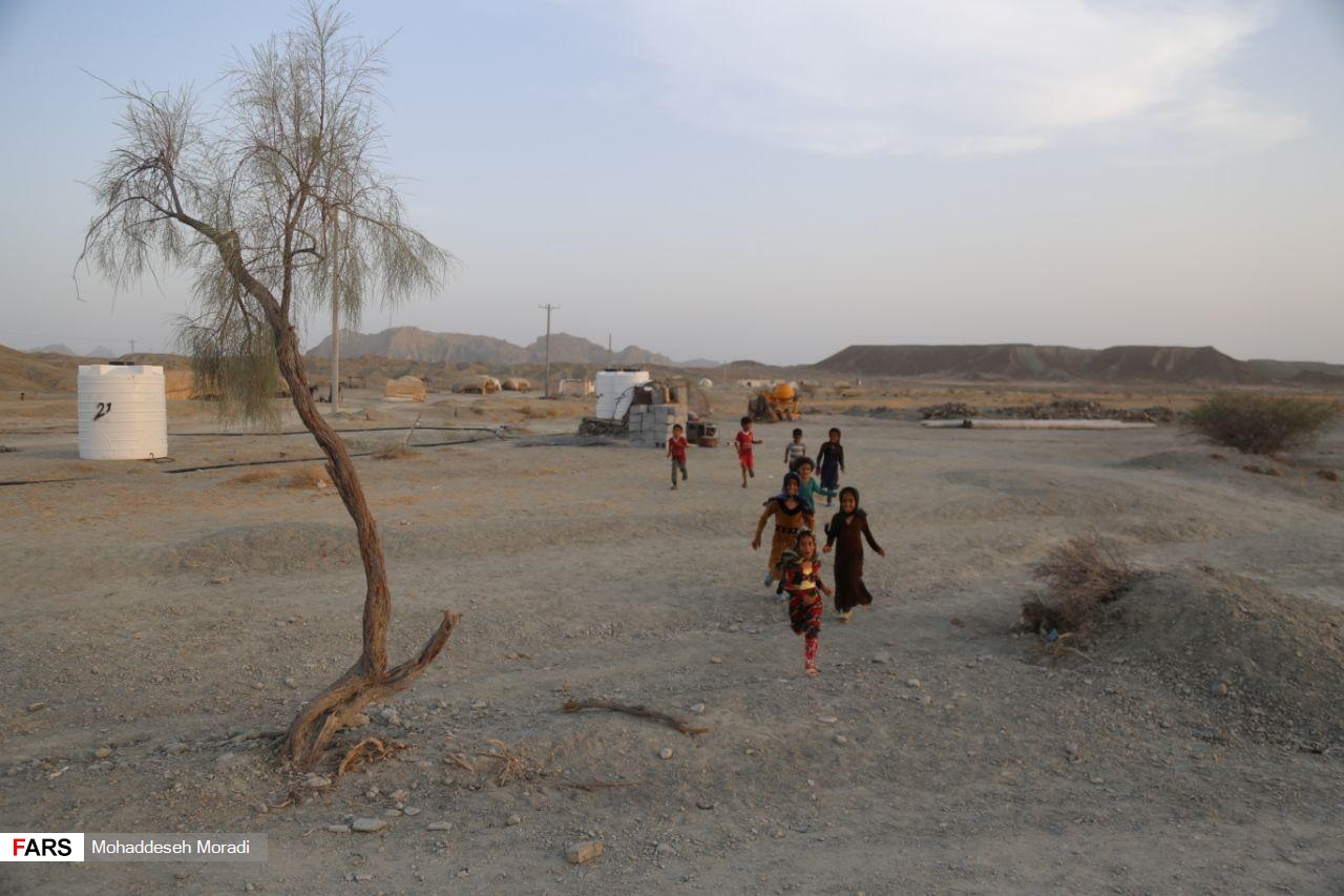 «زاچ و داربست» هم‌‌چنان در چادر