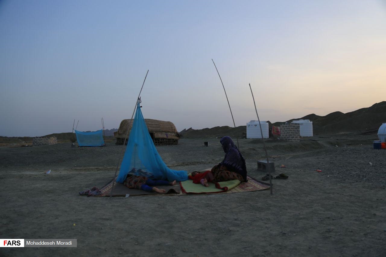«زاچ و داربست» هم‌‌چنان در چادر