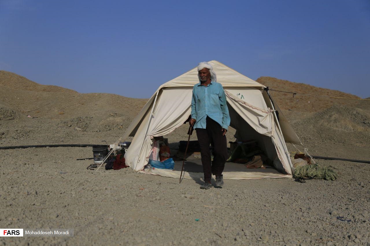 «زاچ و داربست» هم‌‌چنان در چادر
