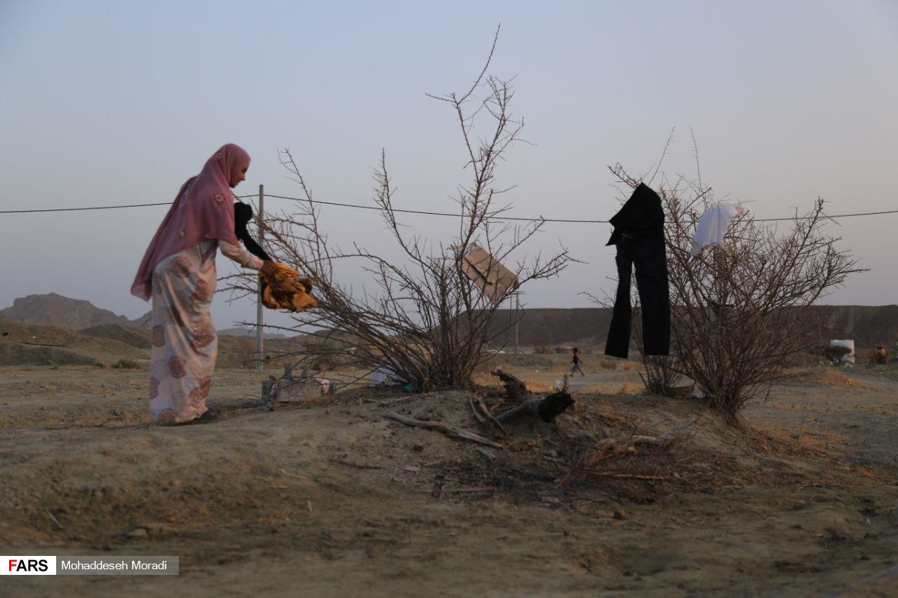 «زاچ و داربست» هم‌‌چنان در چادر
