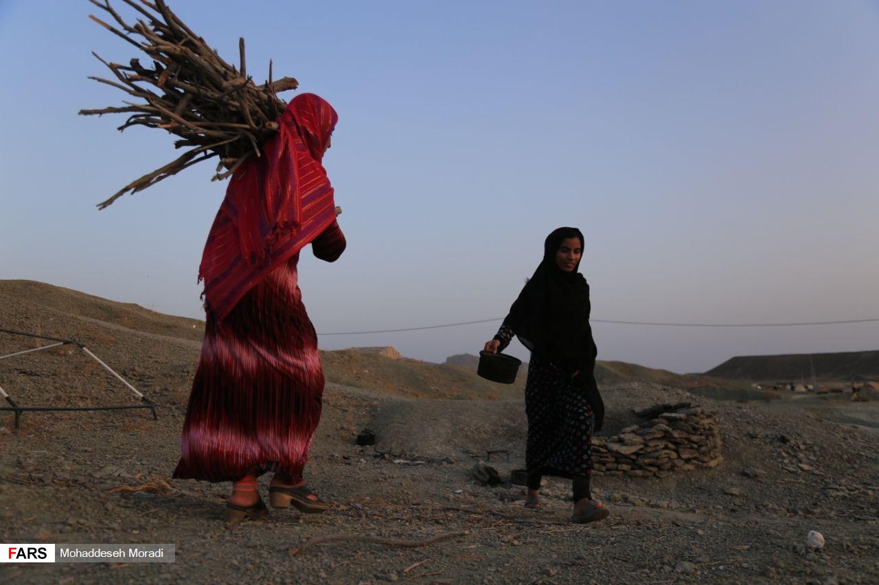 «زاچ و داربست» هم‌‌چنان در چادر