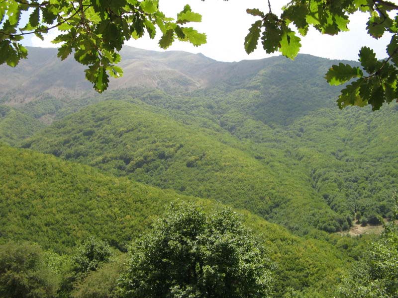 ارسباران کجاست؟