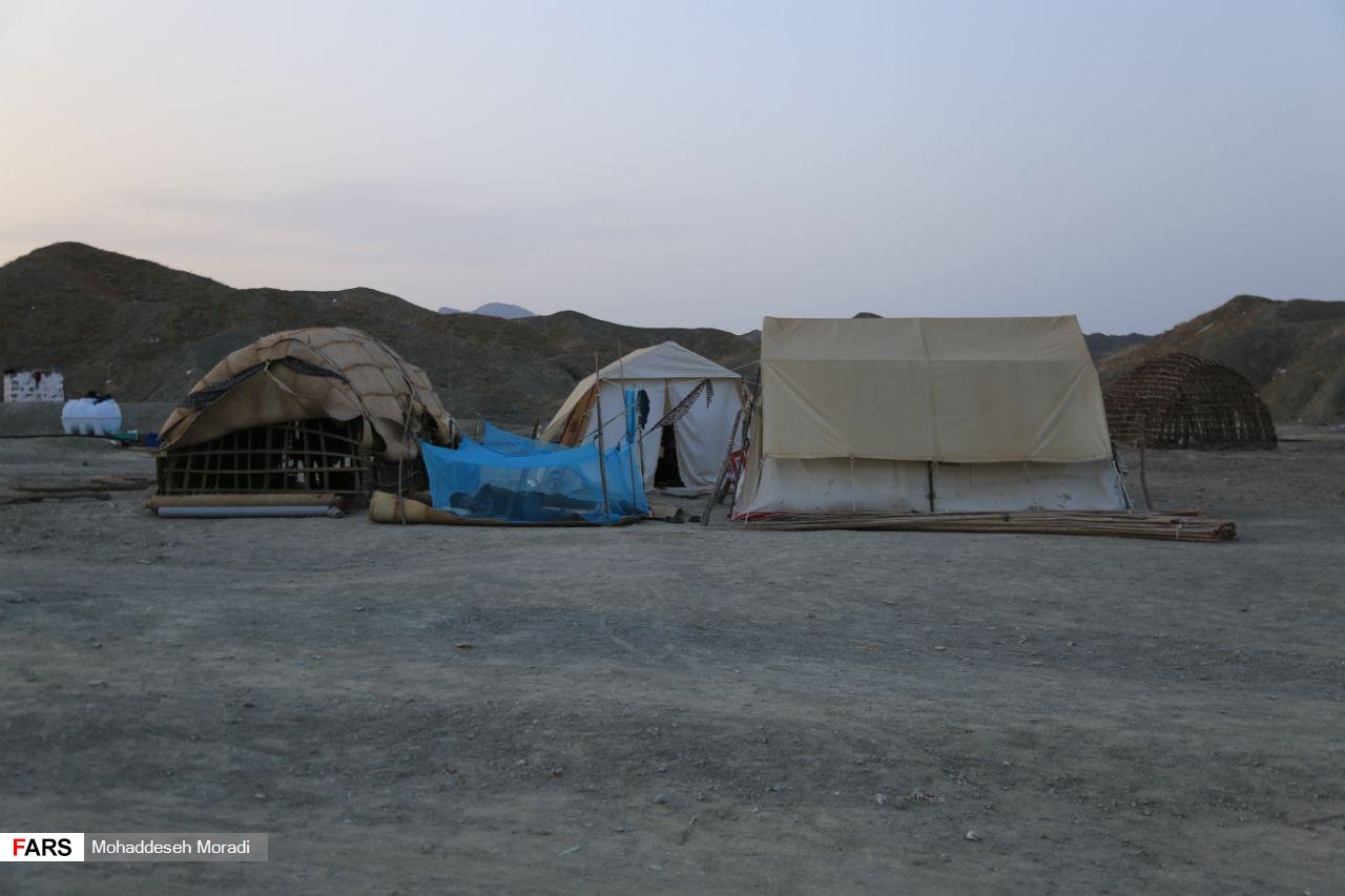 «زاچ و داربست» هم‌‌چنان در چادر