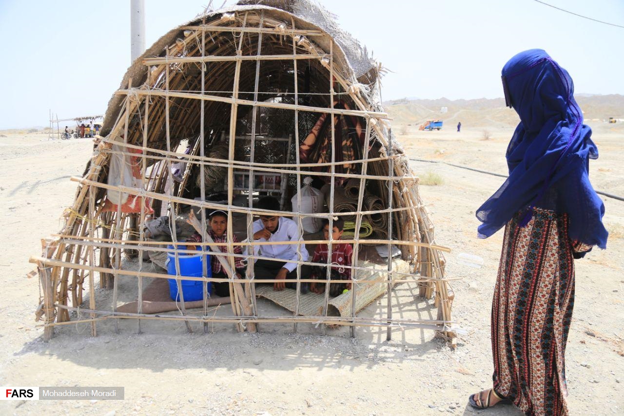 «زاچ و داربست» هم‌‌چنان در چادر