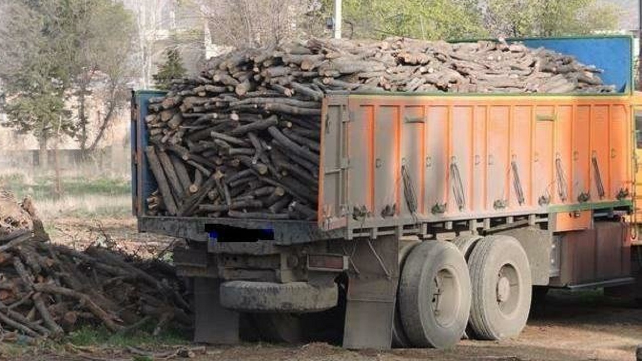 کشف ۳۶ تن چوب و زغال در چهارمحال و بختیاری