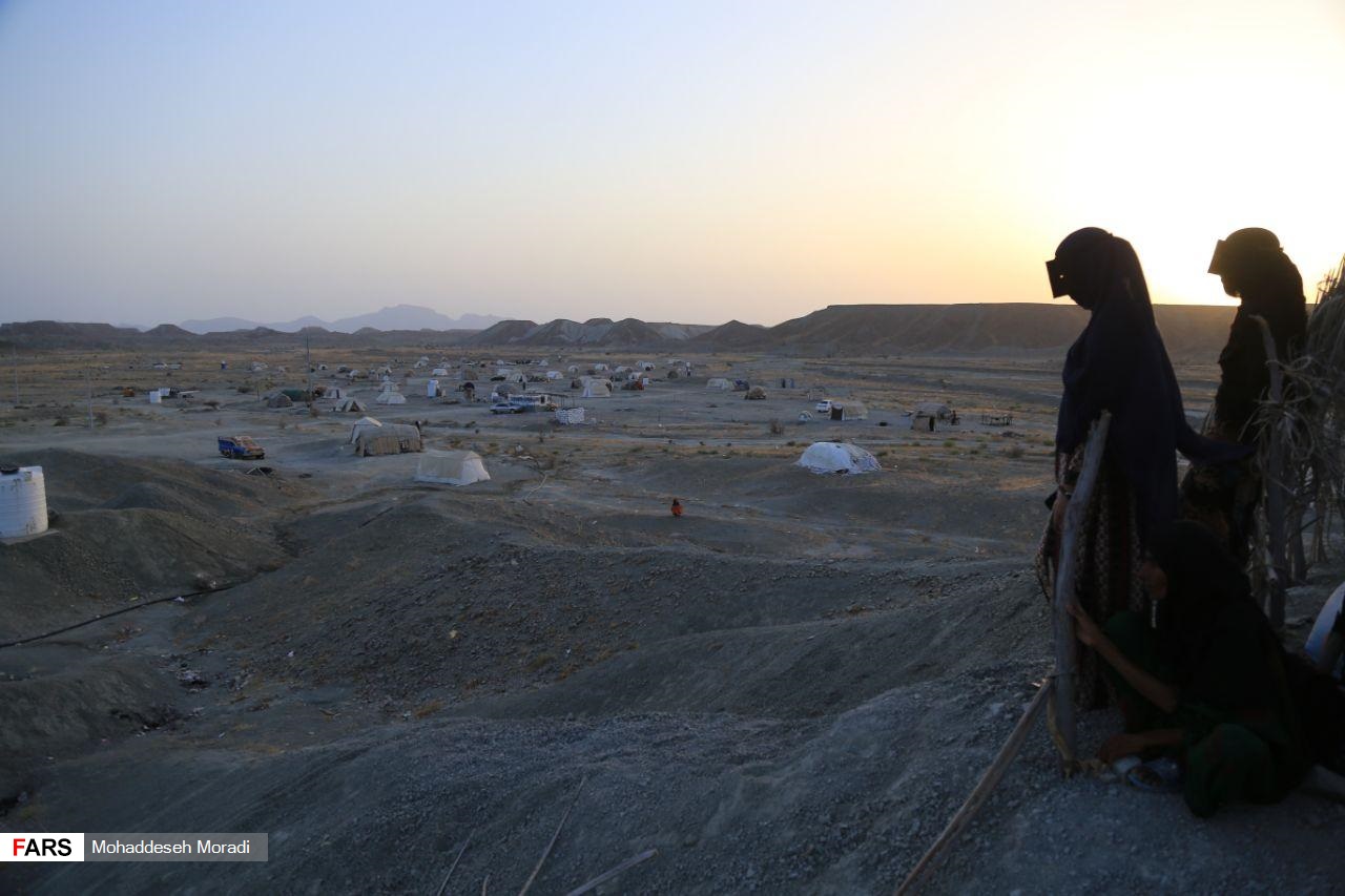 «زاچ و داربست» هم‌‌چنان در چادر