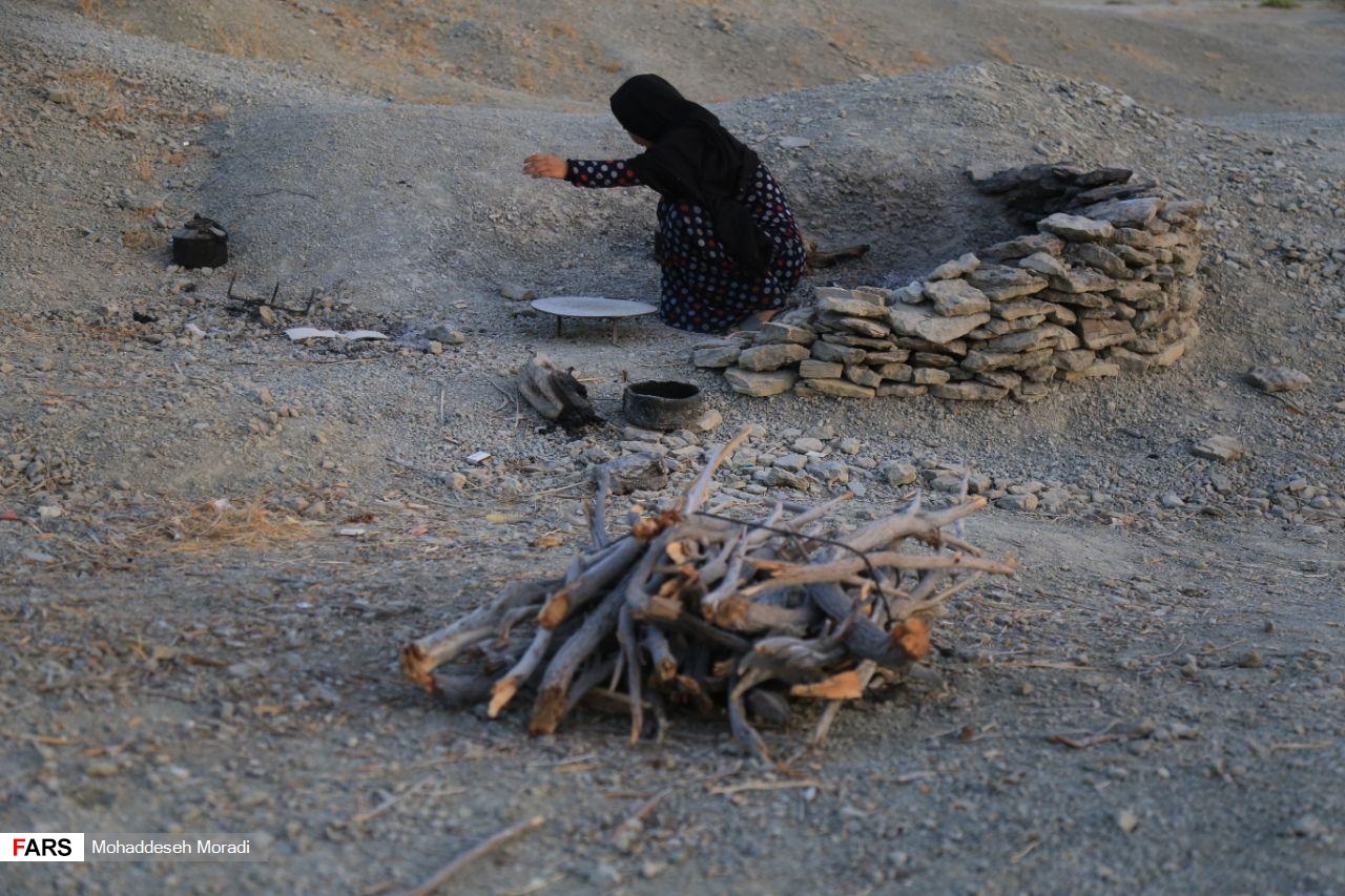 «زاچ و داربست» هم‌‌چنان در چادر