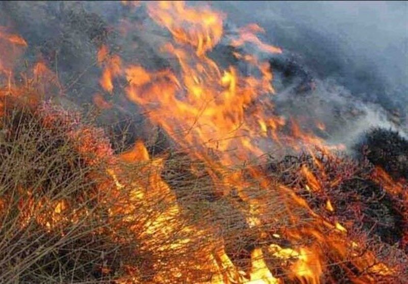 آتش‌سوزی در کوهپایه‌های دارآباد تهران