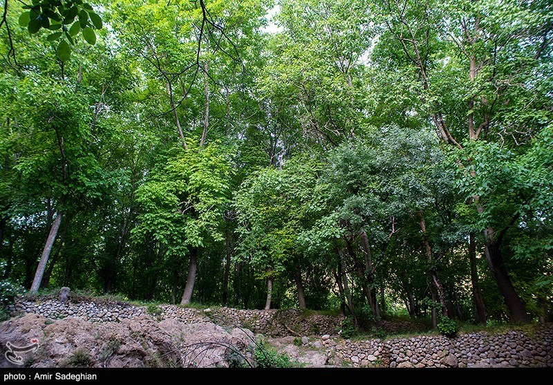 طبیعت روستای دشتک فارس