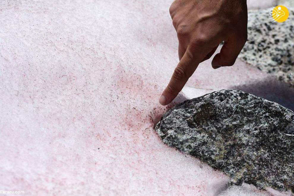 یخ‌های صورتی رنگ در آلپ!