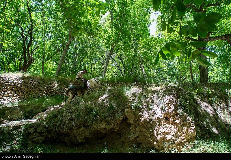 طبیعت روستای دشتک فارس