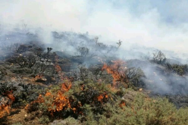 آتش‌سوزی جنگل‌های منطقه حفاظت شده دنا مهار شد