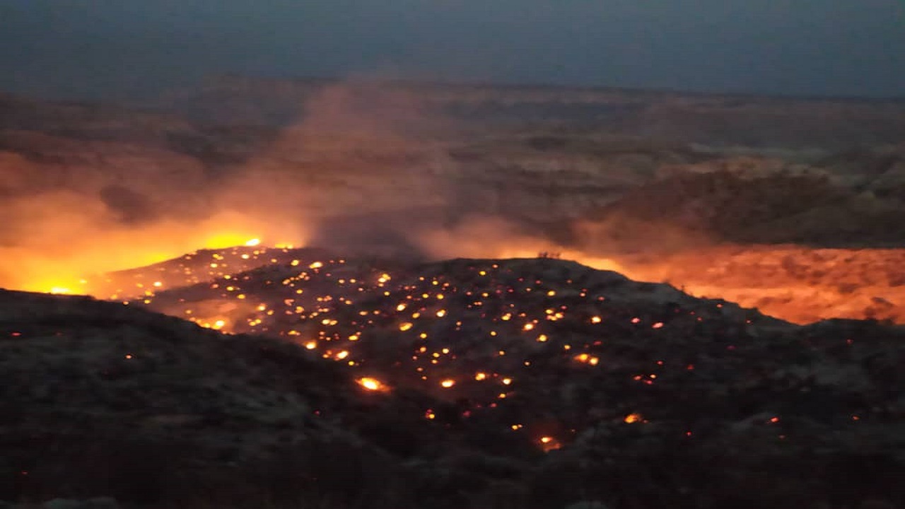 مهار آتش‌سوزی نخیلات روستای چاهکیچی دلگان