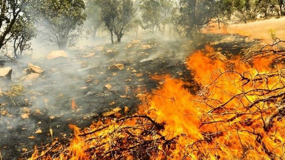 آخرین ماموریت امدادگر جوان