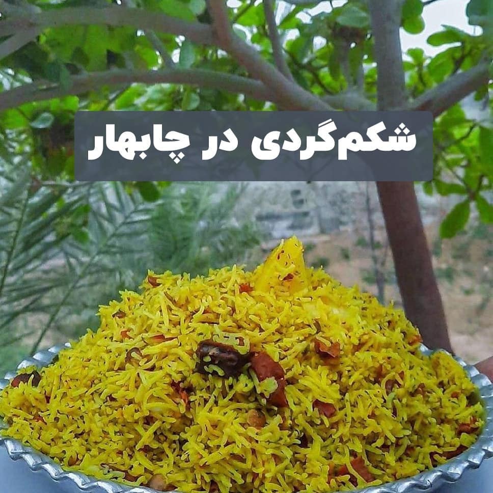شکم گردي در چابهار
