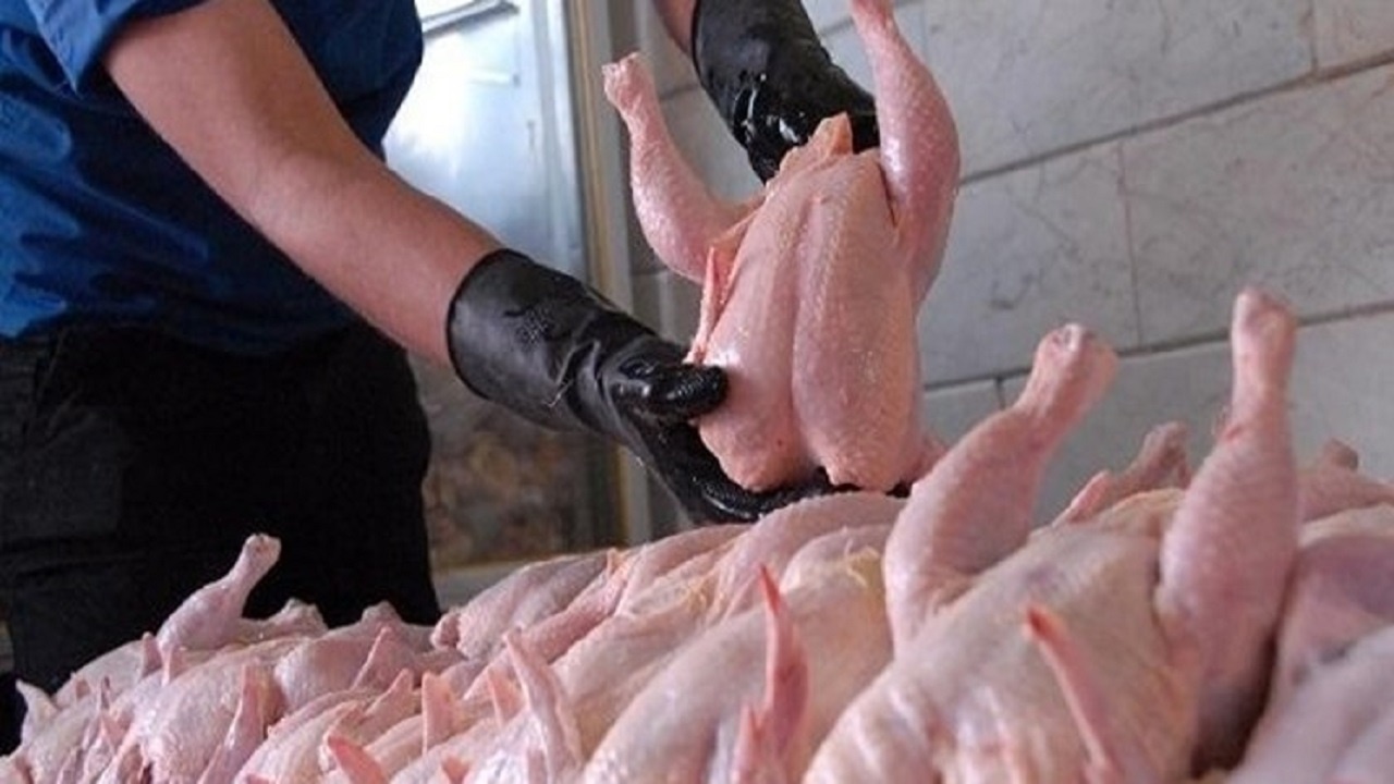 نظارت شدید بر بازار مرغ و تخم مرغ اصفهان