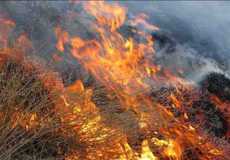 آتش در پلنگ دره قم؛ ۳۰ هکتار از اراضی حفاظت شده سوخت