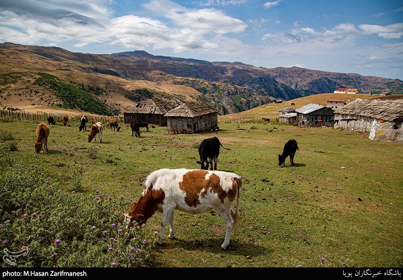 طبیعت زیبای سوباتان