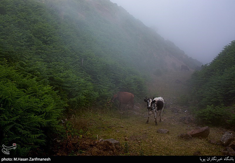 طبیعت زیبای سوباتان