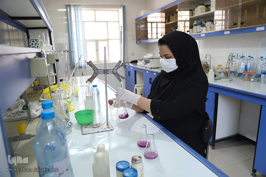 پاسداران عفاف جامعه